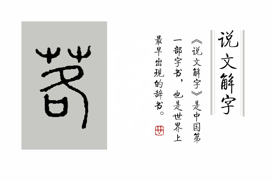 说文解字47讲,说文解字第661课