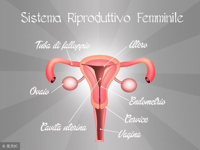 绝经可以做宫颈癌检查吗,绝经后怎样预防宫颈癌