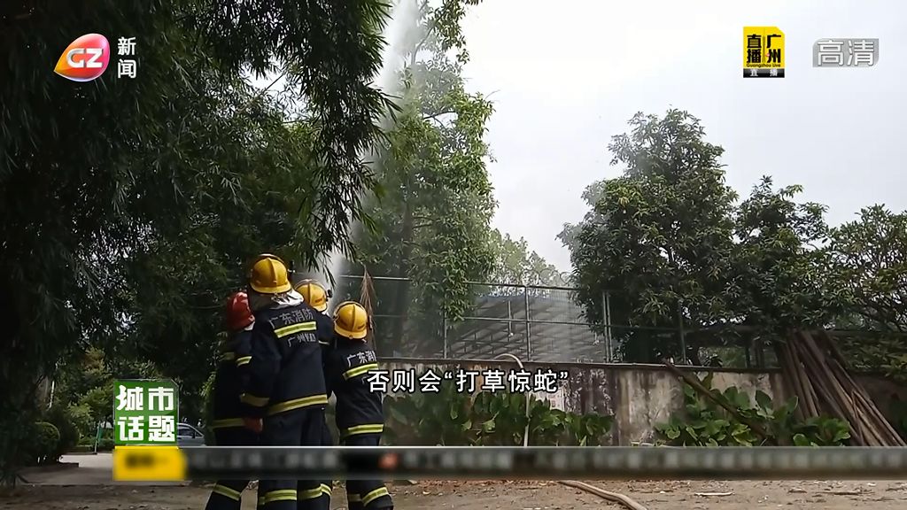 马蜂巢怎么处理,马蜂热门话题