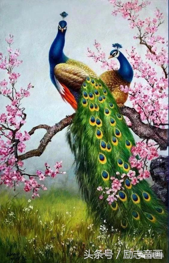 综合知识78集，赶紧保存，早晚用得上！