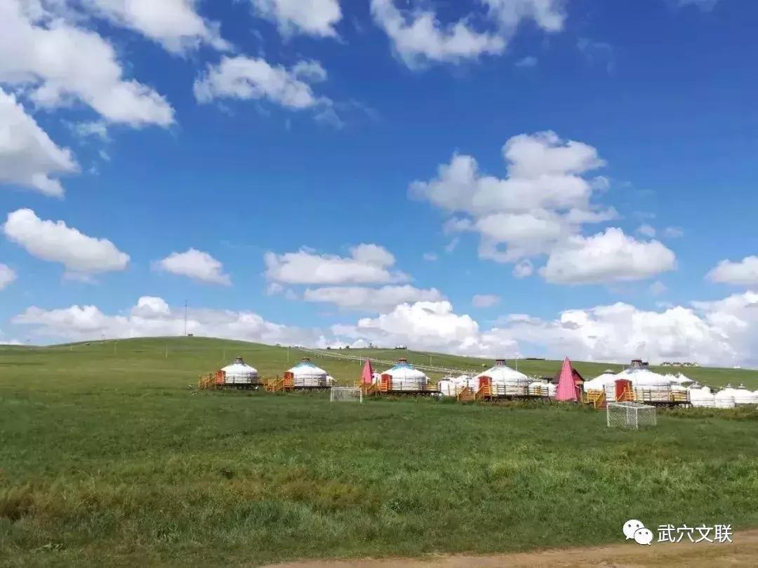 内蒙古呼伦贝尔夏日之旅,夏日跟喜欢的人旅行来呼伦贝尔