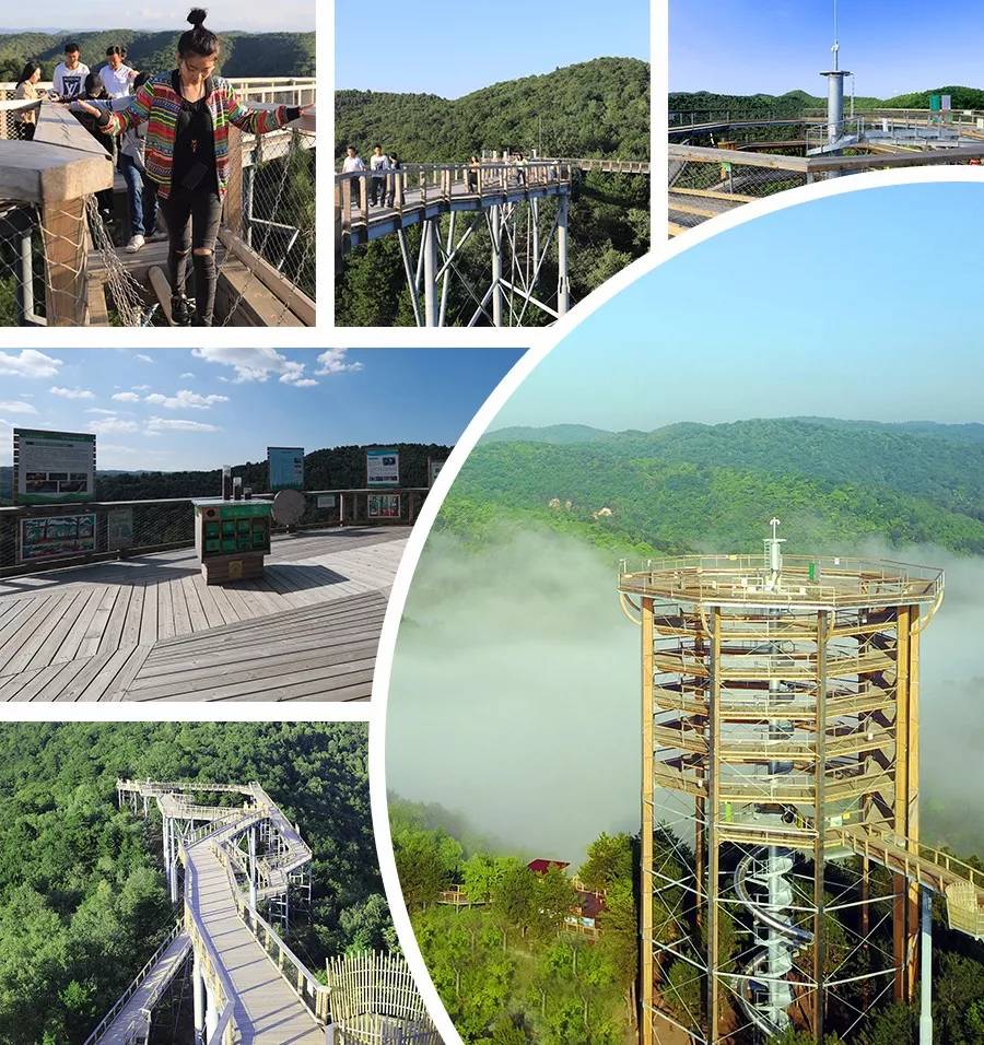 黄龙最新旅游攻略,黄龙一月旅游攻略图