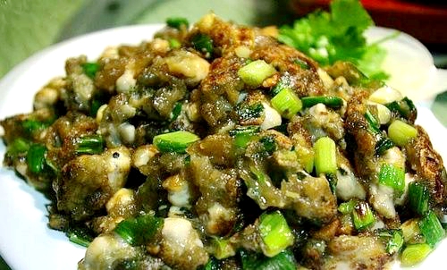 海边贝类种类,各种贝类的名称