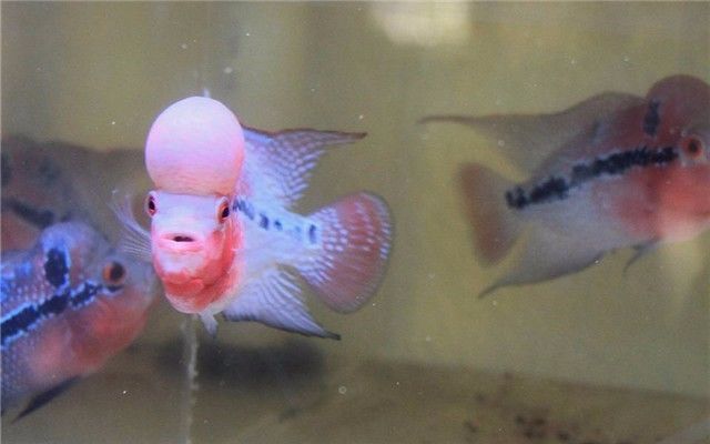 这些事千万不要做,这些事情千万不要做