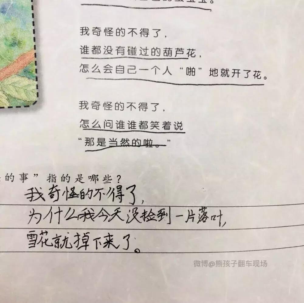 用我奇怪得不得了造句,用奇怪造句小学二年级