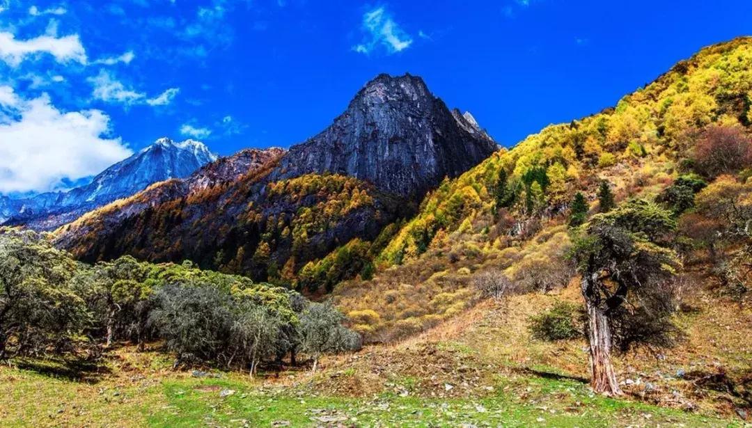 四川秋景第一名,四川欣赏秋景好去处