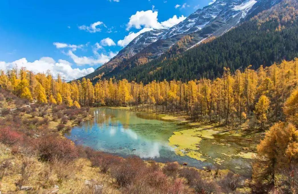 四川秋景第一名,四川欣赏秋景好去处