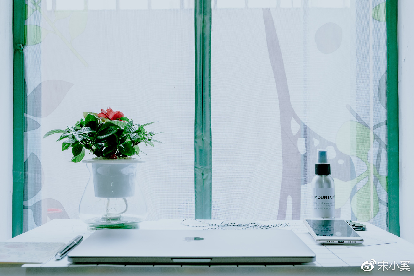 家庭版静物摄影,静物拍摄校园