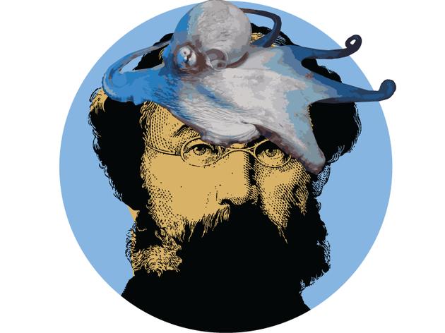 细数人体十大设计缺陷：乱成一团的大脑、磨人的智齿