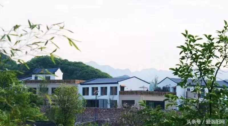 洛阳值得推荐的民宿,深山最漂亮民宿