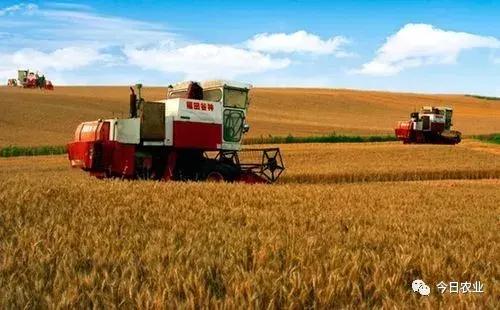 农村改革开放40年的经历,40年改革开放农村巨大变化征文