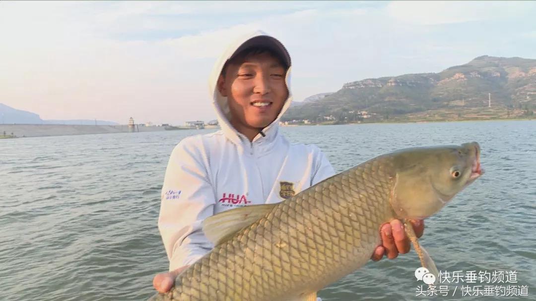 秋季钓草鱼鲤鱼绝佳饵料配方,秋季晚上钓草鱼最好的方法