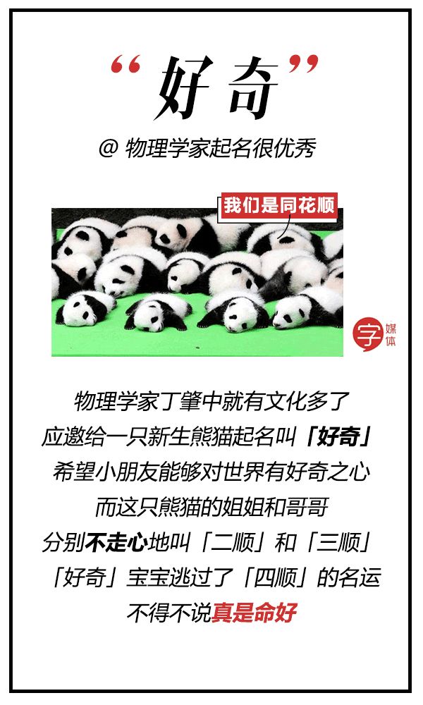 每一只可爱滚滚的背后,都有一群起名字不靠谱的人!