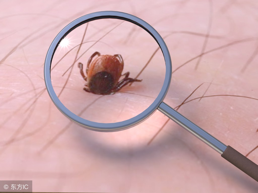 十年床垫有螨虫吗,床垫螨虫最好用什么药