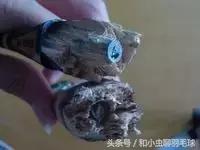 磨刀不误砍柴工事半功倍,磨刀不误砍柴工怎么总结