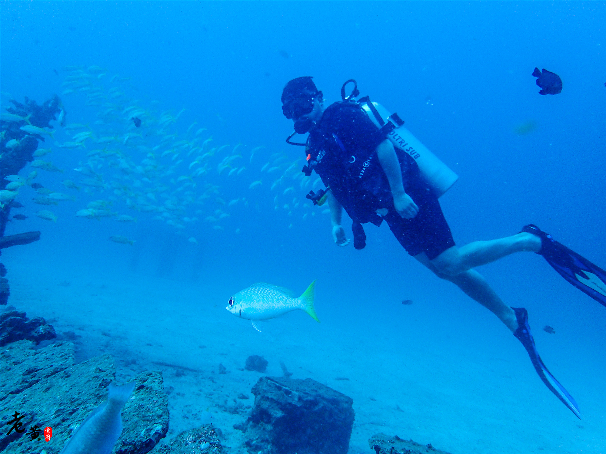 普吉岛深潜在哪里能遇到鱼群风暴,泰国大小皇帝岛潜水