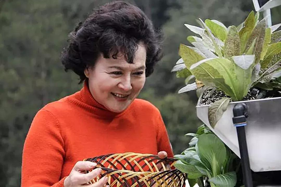 60岁整容亲身经历,整容亲身经历真的好吗