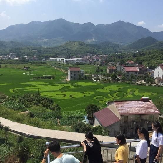 大学生眼里的杭州乡村原来和想象的不一样啊