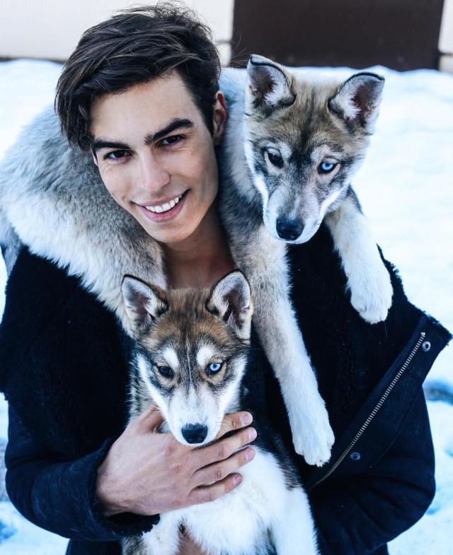 白蛋粉是增肌粉吗,蛋白粉和增肌粉哪个热量更高