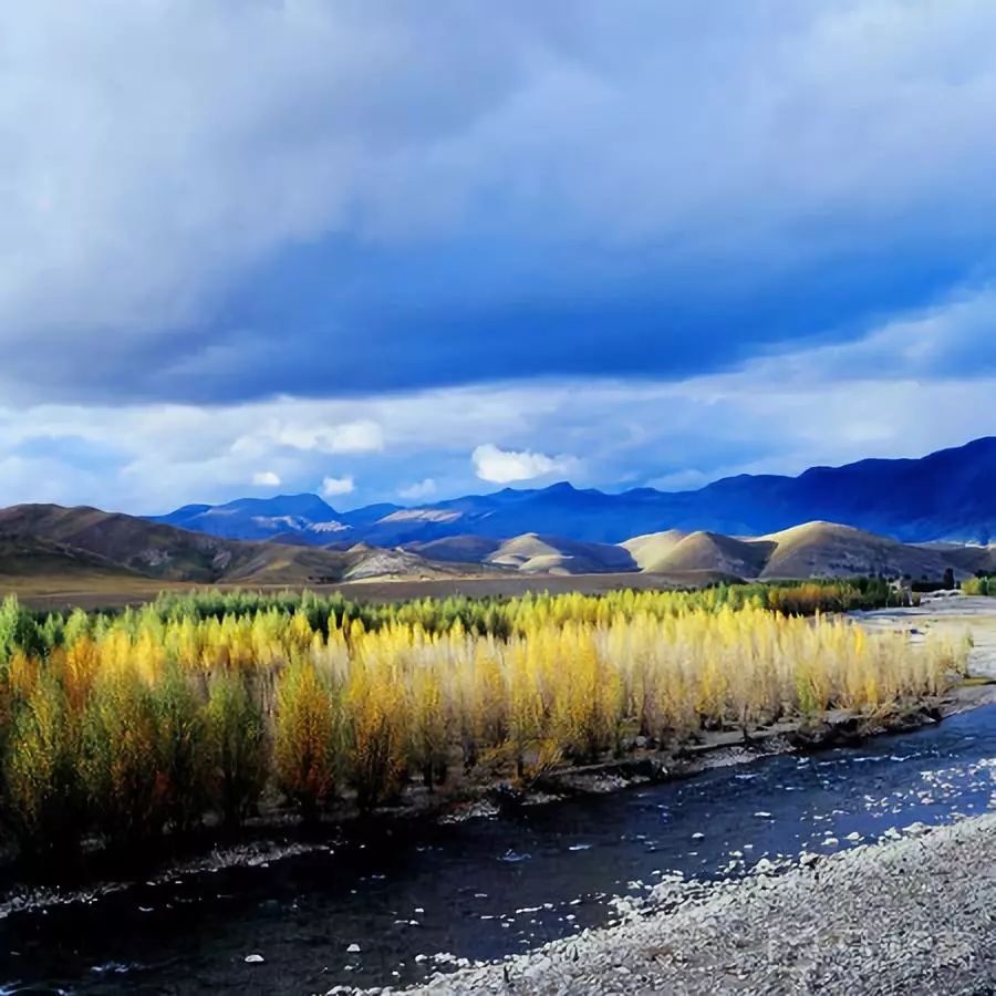 老子不上班请假去稻城,9月不上班了句子