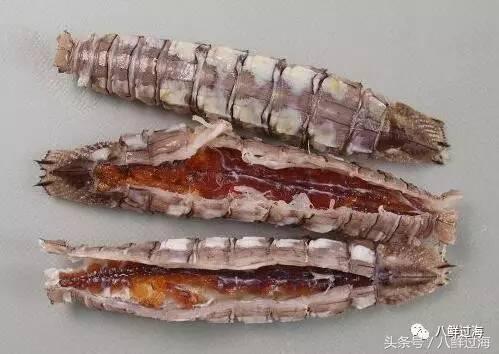 比手臂还大的皮皮虾吃起来超过瘾,比手臂还粗的皮皮虾你吃过了吗