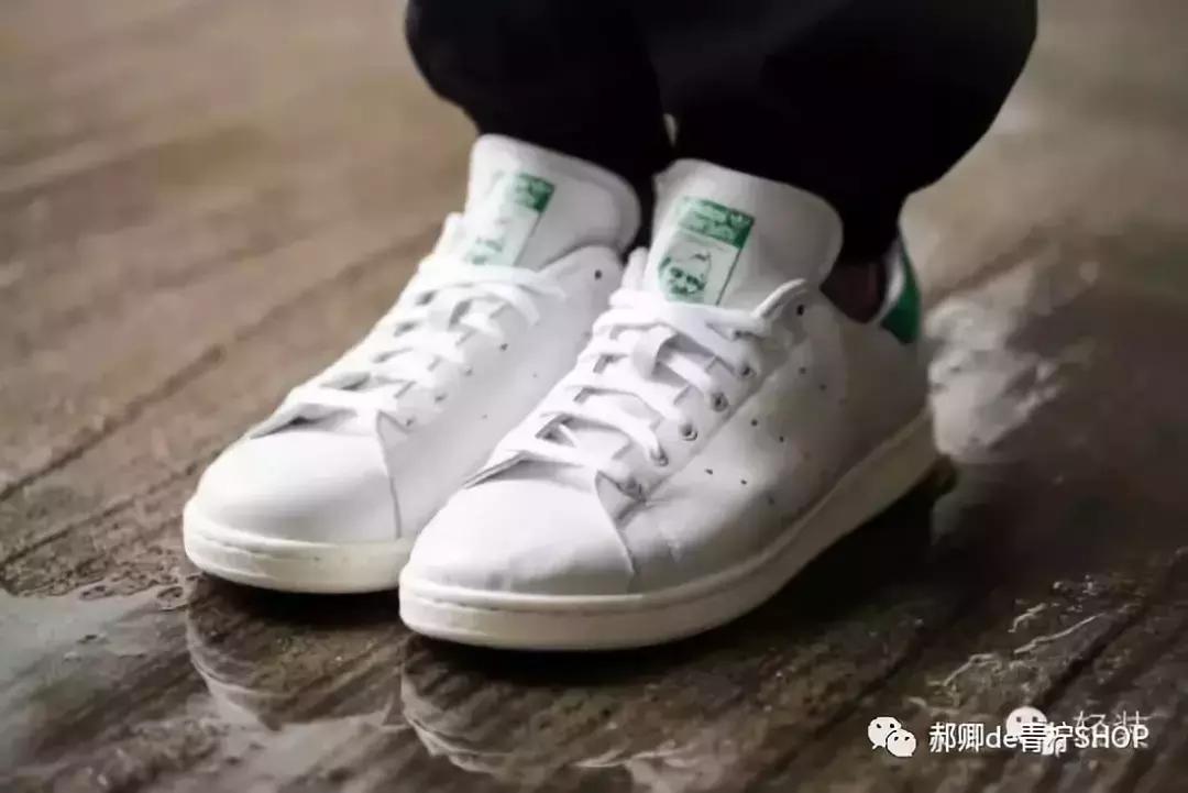 为什么绿尾少,绿尾是什么