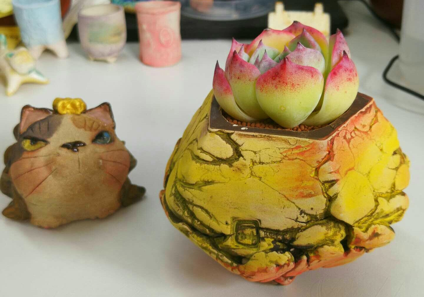 慢生活全文免费阅读,慢生活轻阅读