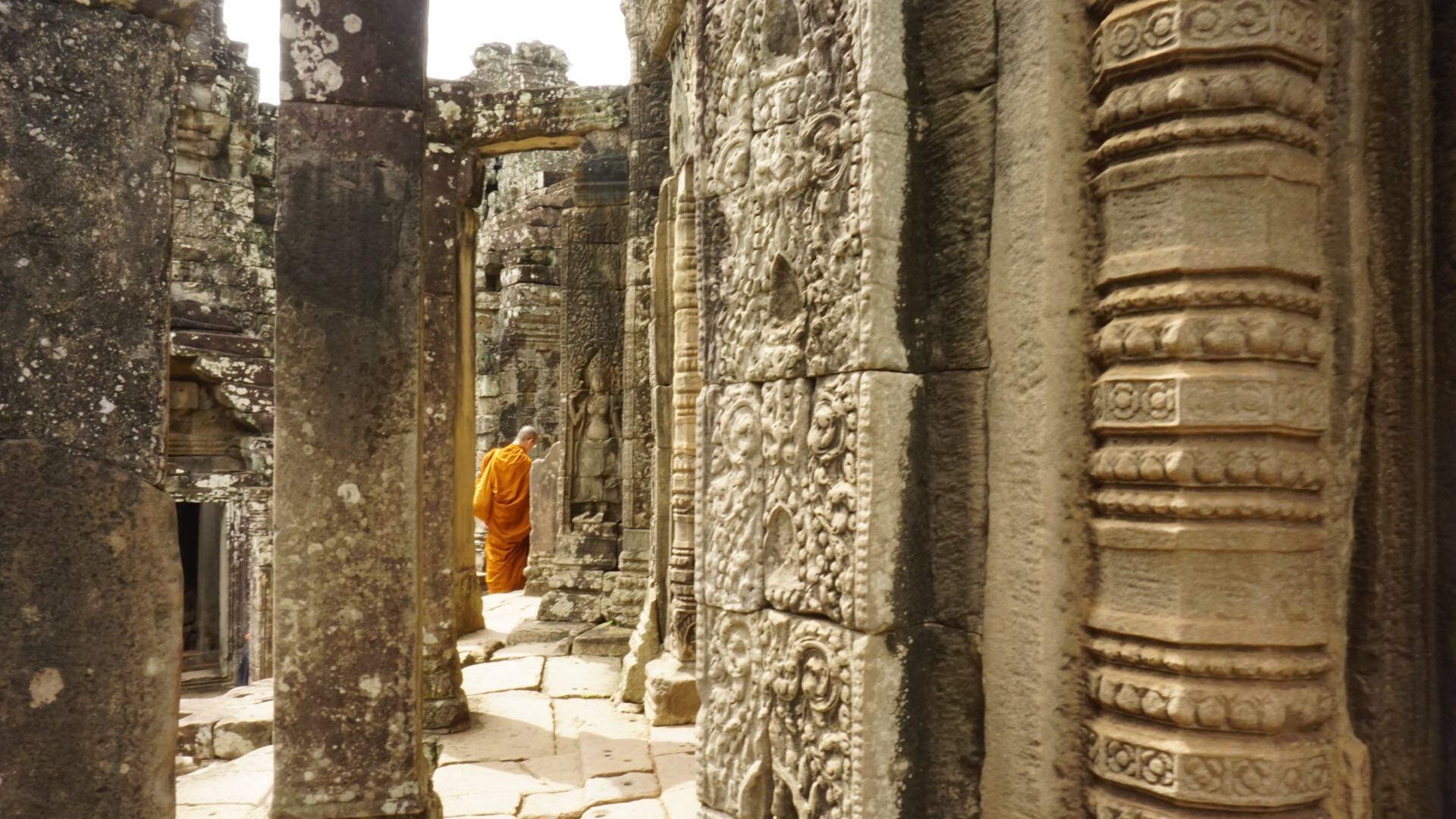 美丽的废墟田禾小说,美丽的废墟视频