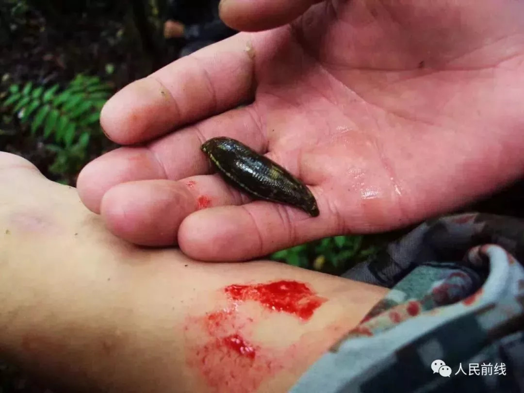 西藏墨脱军人的照片,西藏军人真实照片