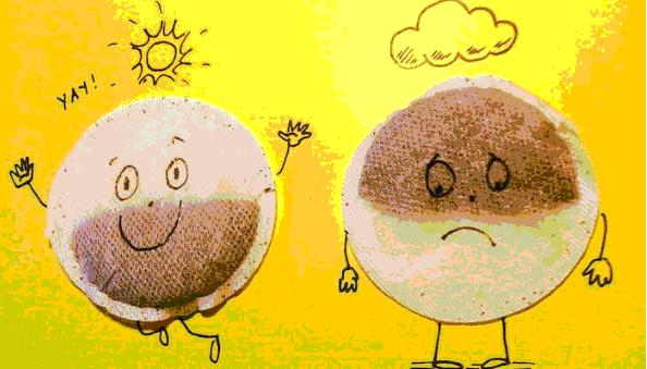 北大开学典礼校长寄语,北大校长勉励学生的四句话