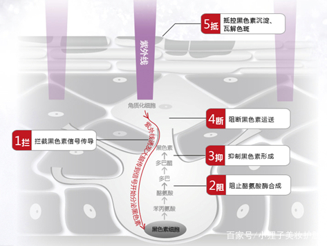 美白丸内服全身美白真能变白吗,赫熙美白丸真的可以美白吗