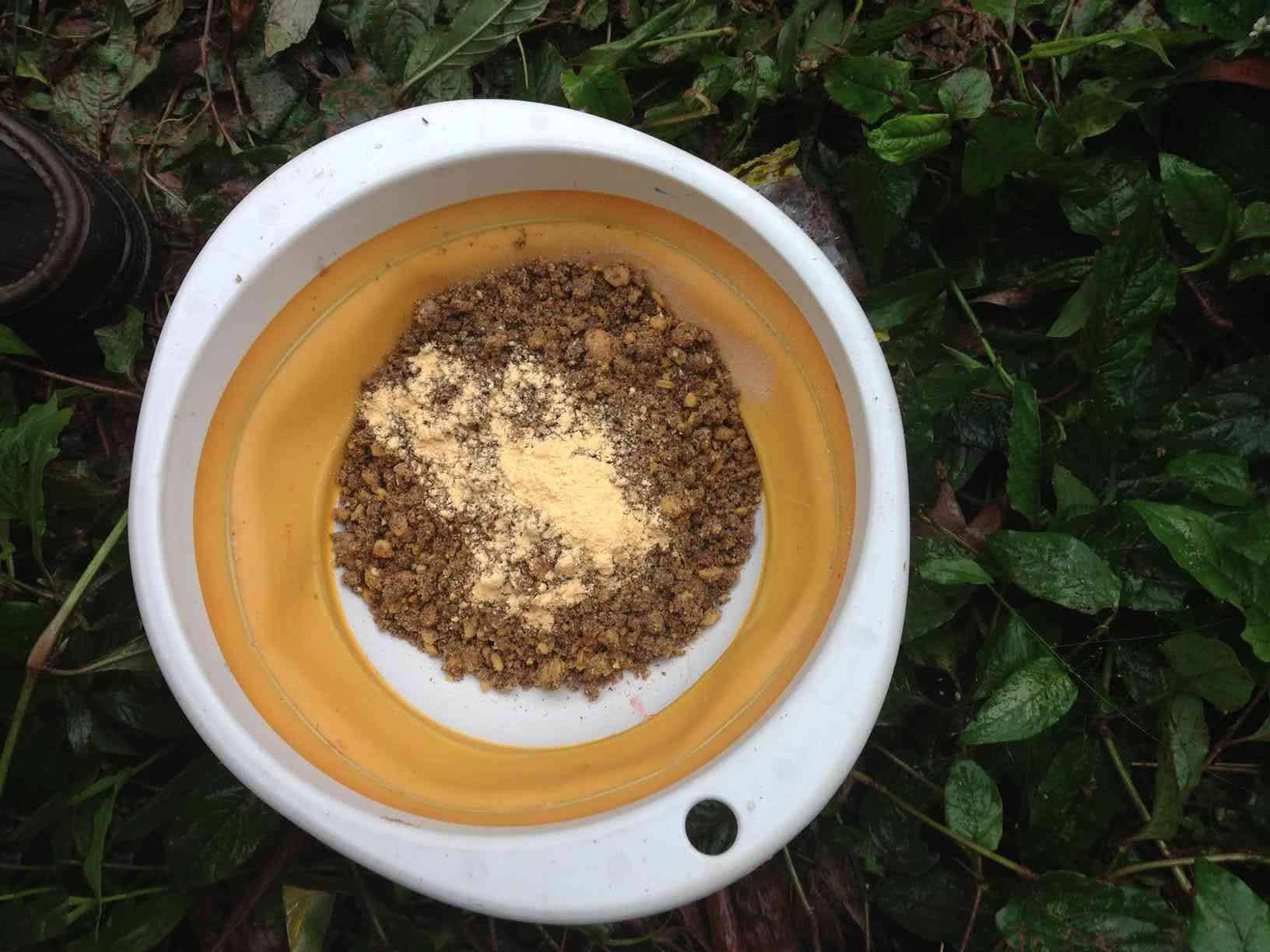 江边手竿赤眼鱼怎么钓,赤江钓鱼