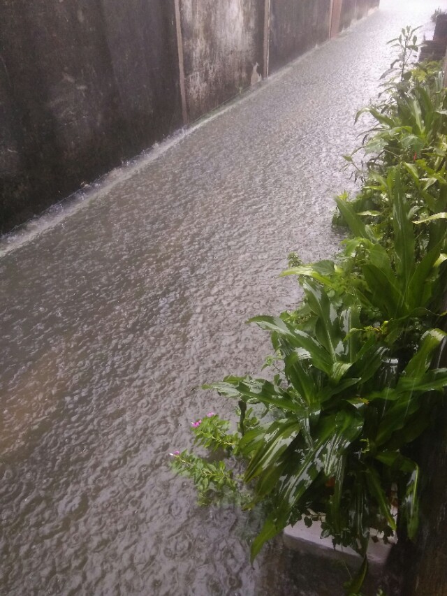 被人误传了的千年俗语,被误传千年的俗语