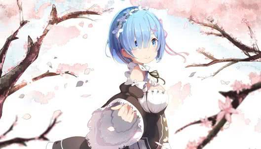 b站萌王榜,b站历届萌王一览表