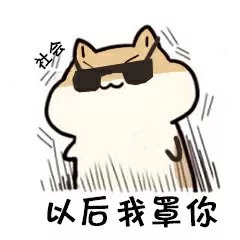 荷兰猪用8cm的脚垫可以吗,荷兰猪脚垫哪个牌子好