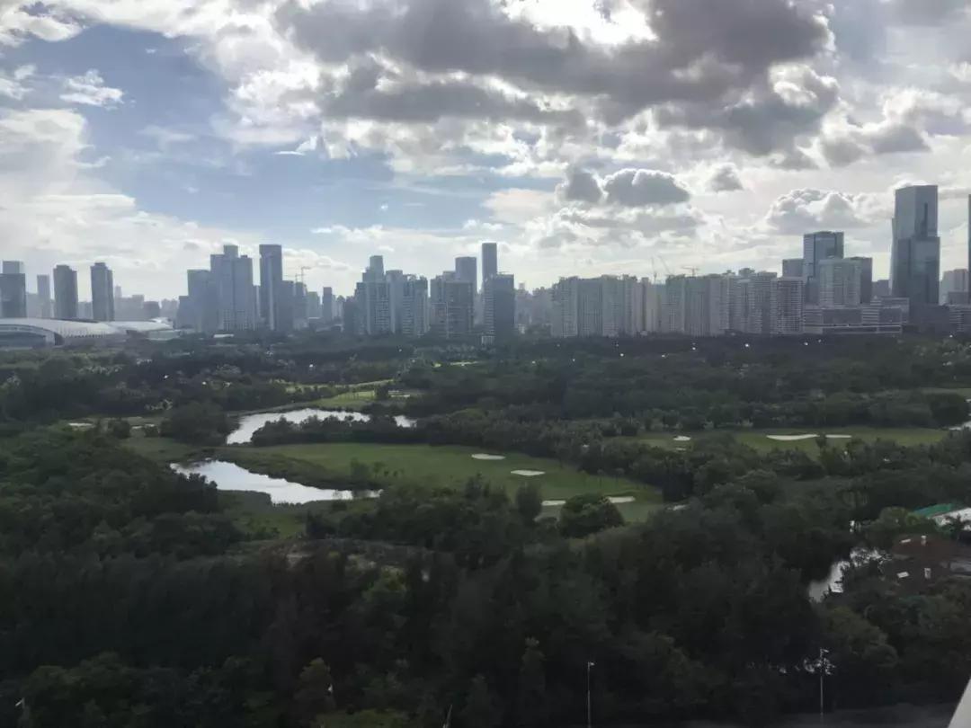 红树西岸位于红树湾商圈,红树湾红树西岸花园价格