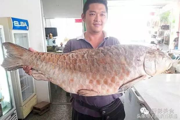 汕头南澳金钱鮸,最贵鮸鱼