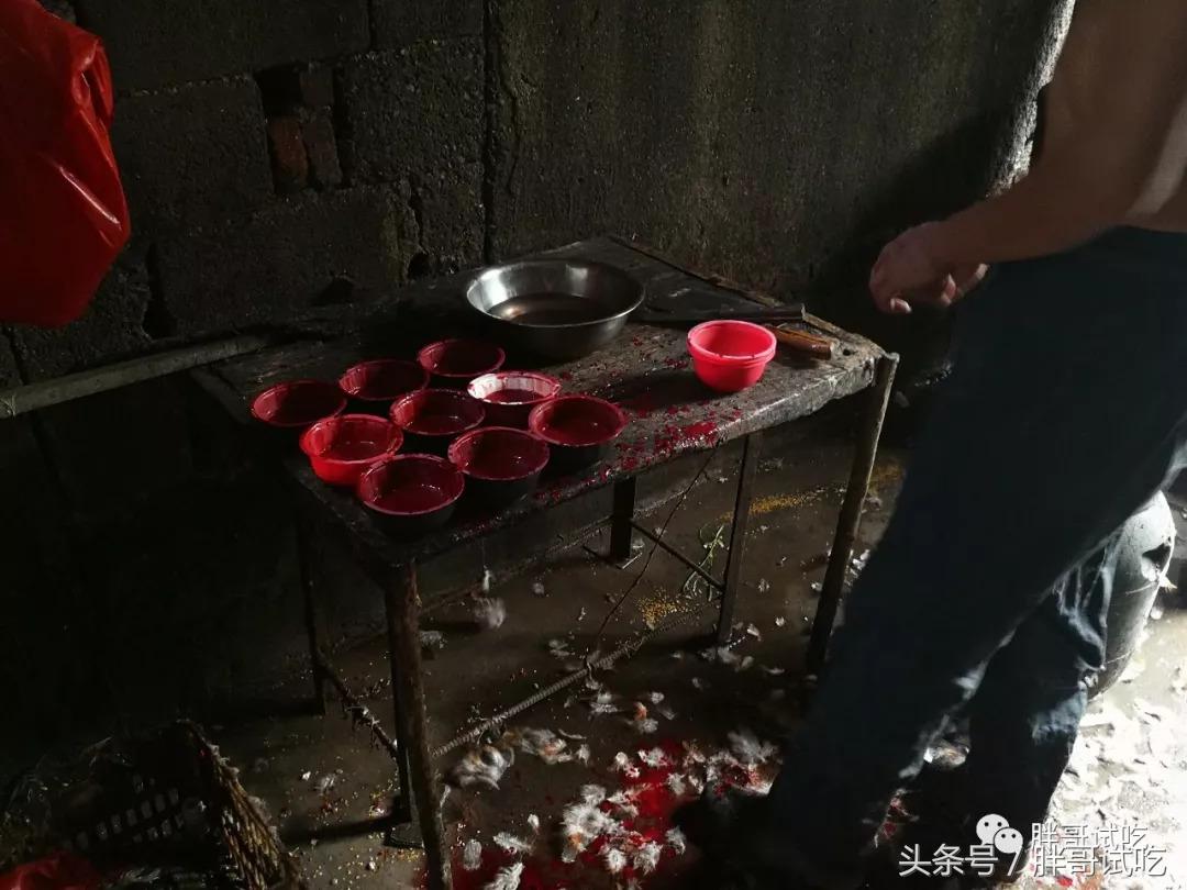 胖哥枣庄辣子鸡,邹坞辣子鸡试吃