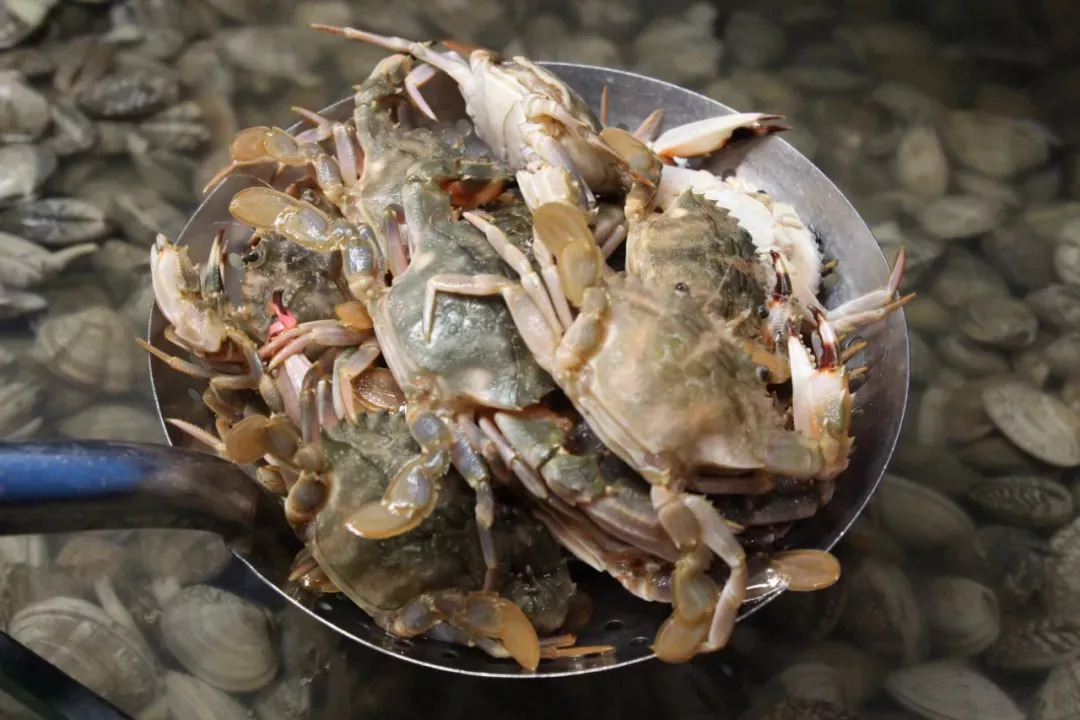 长春好吃的生蚝店推荐,长春88元螃蟹生蚝