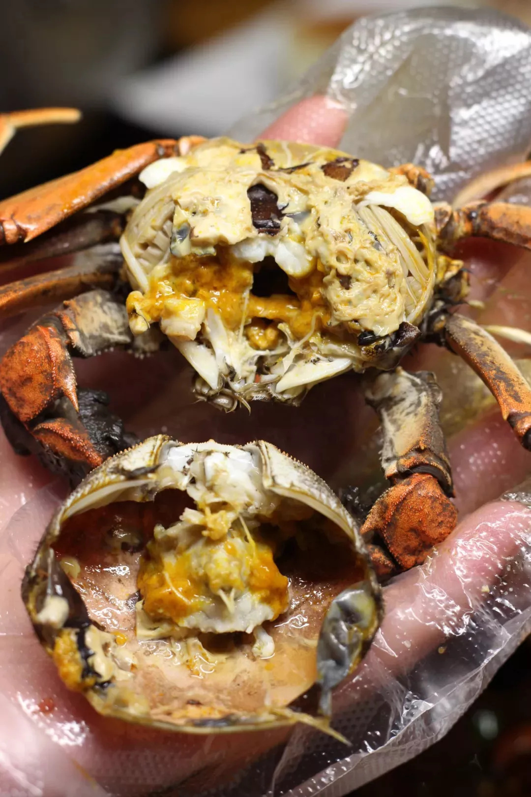 长春好吃的生蚝店推荐,长春88元螃蟹生蚝