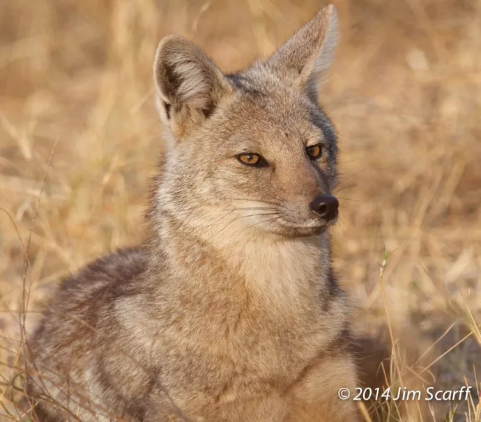 世界三大匪域,世界三大海盗国家