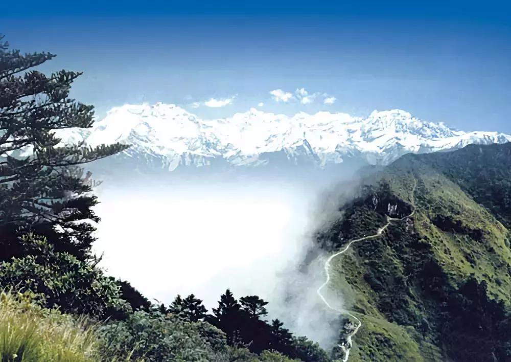 成都的5a景点有哪些,成都周边的5a景区有哪些