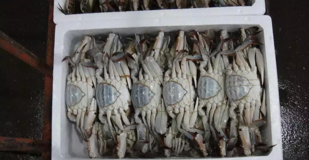 成都批发市场二手最便宜的货源,成都室内装饰品摆件最大批发市场