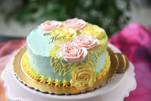 新手常用的裱花嘴,裱花嘴最全有多少种