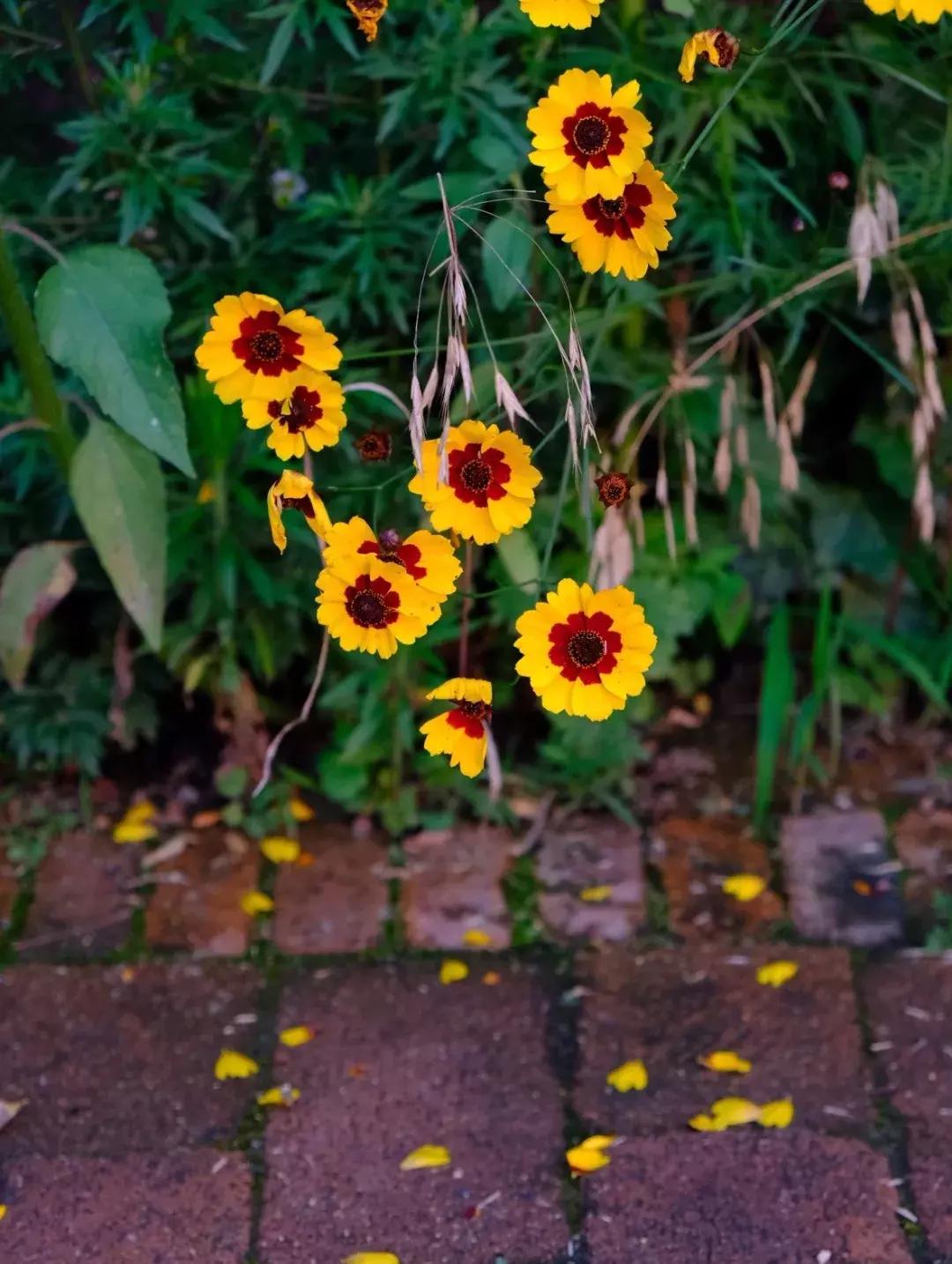 郑州曼哈顿哪个地方适合约会,秋天约会去郑州哪里比较好