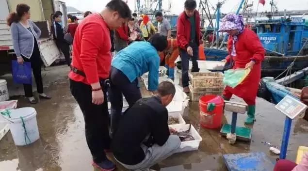 开海了哪里海鲜便宜汕头,开海了去哪里买海鲜青岛