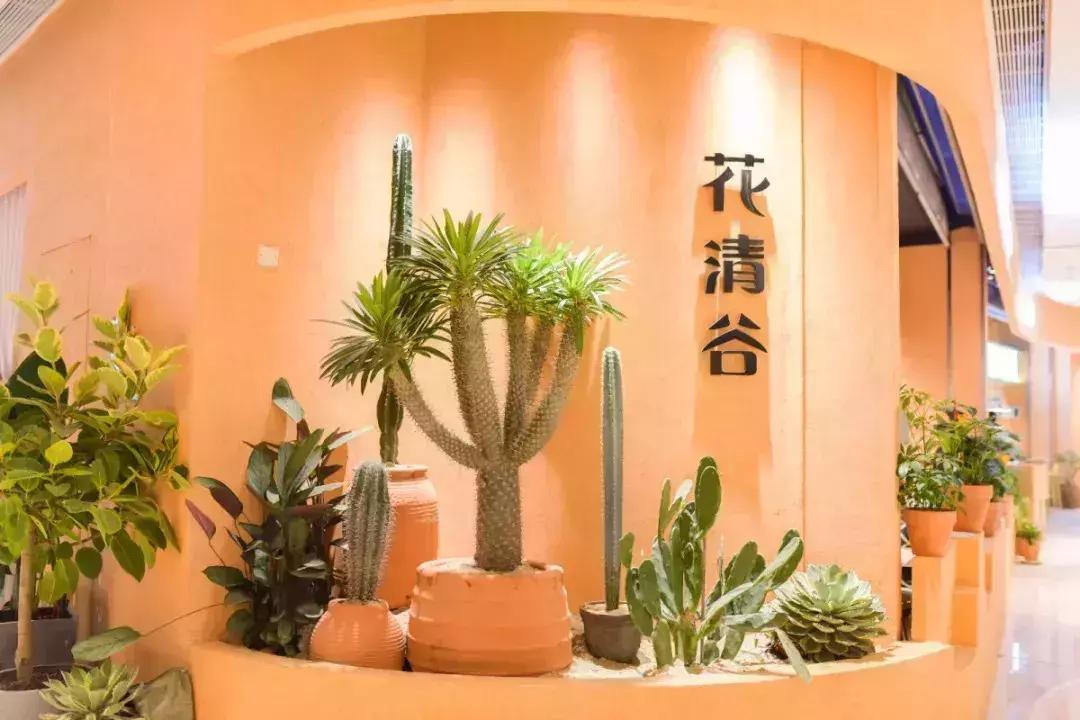 杭州鲜花西餐店,杭州鲜花西餐厅