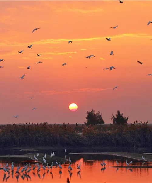 一个月让你免费走遍台州！这份9月台州旅行指南你一定需要收藏！