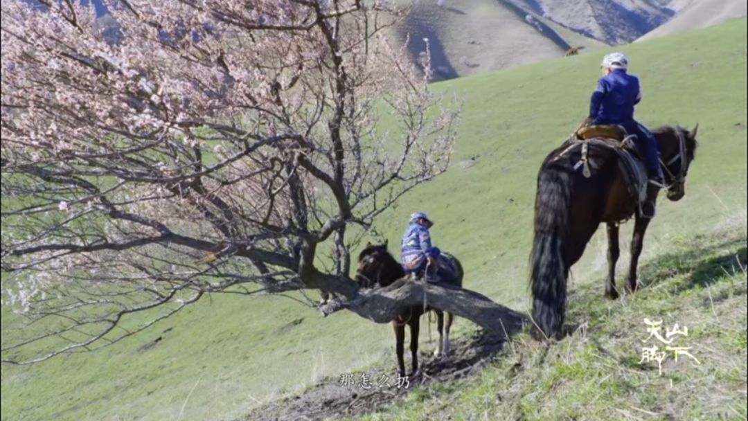 忘记那些不堪回首的人和事,忘记那些心酸的往事