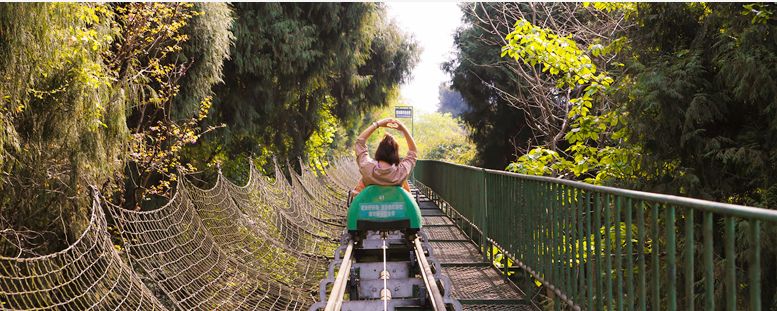 九皇山秋天攻略,秋天九皇山可以干嘛